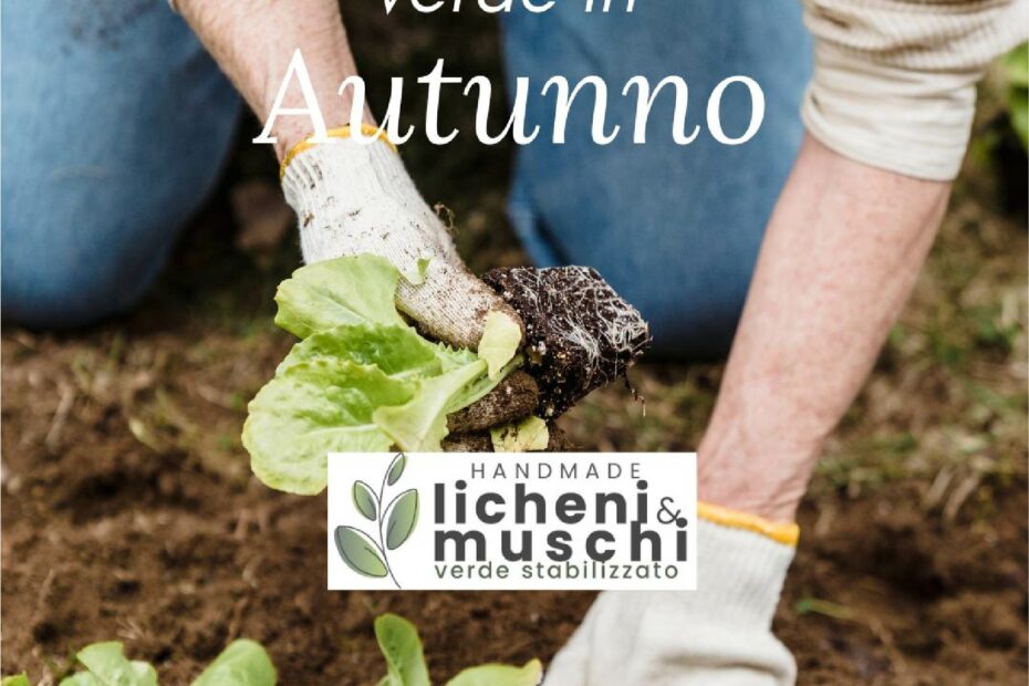 Guida alla manutenzione del giardino in autunno