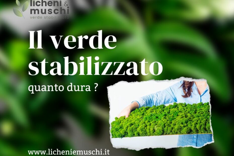 verde stabilizzato quanto dura